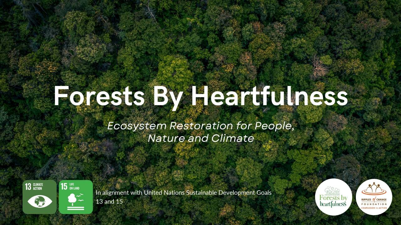 Forests By Heartfulness_page-0001